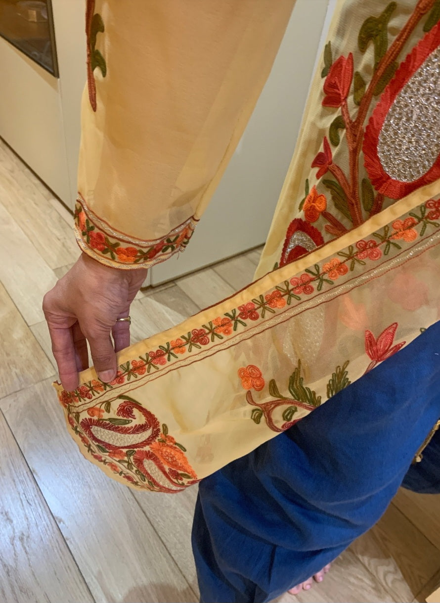 Beige Georgette Shrug with Kashmiri Aari Embroidery, Long Tunic for Women