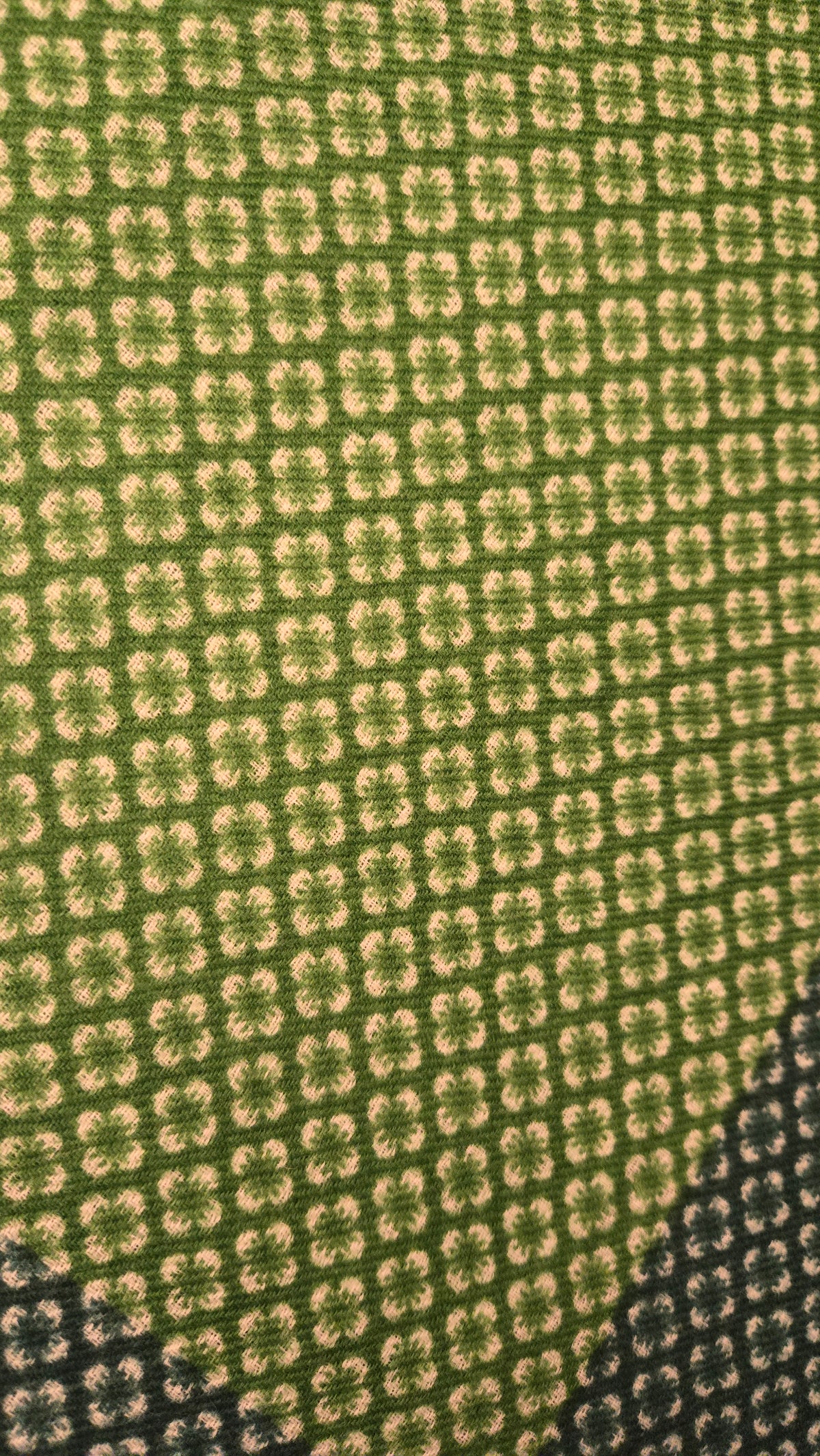Soft semi Pashmina Wool  printed  Scarf/Semi Pashmina Printed Shawl in Vibrant Leaf Green | Soft Wool Check Print Scarf for Women made by artisans